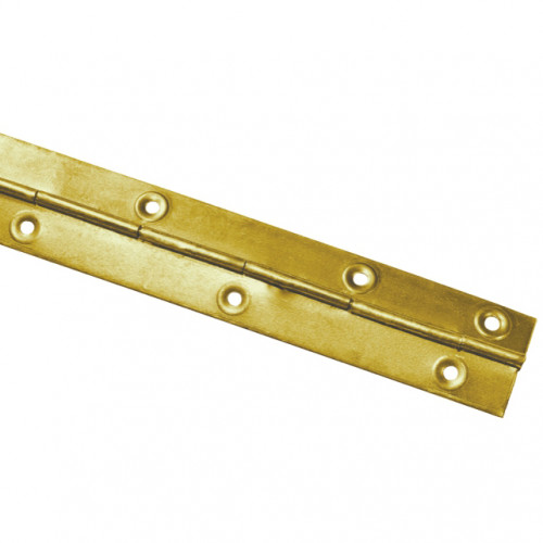 Петля карточная 30*545мм желтый цинк Тифлос